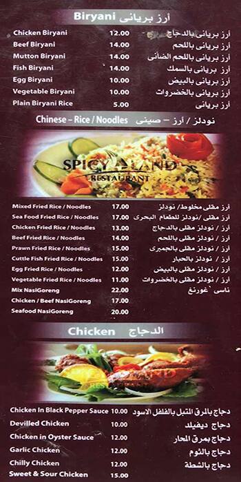 Menu of Spicy Land Restaurant, Al Wakrah, Doha  