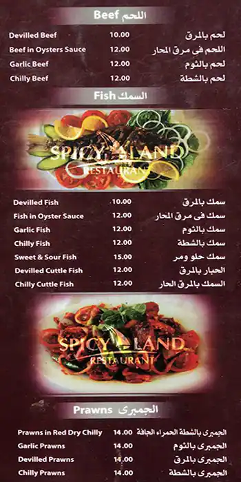 Menu of Spicy Land Restaurant, Al Wakrah, Doha  