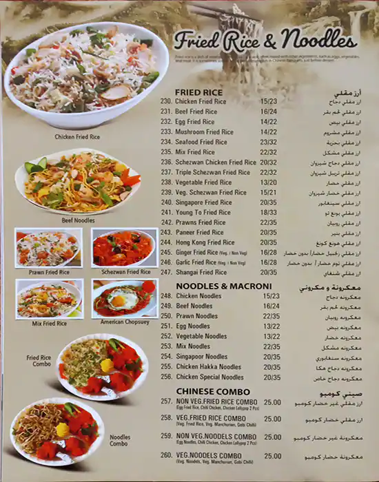 Tasty Bowl Restaurant Menu in Al Barsha, Dubai 