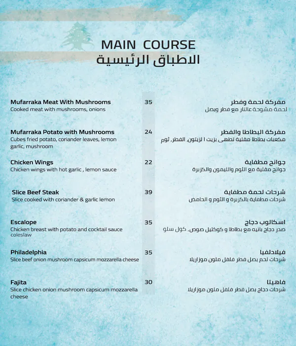 Levant Village Restaurant Menu 