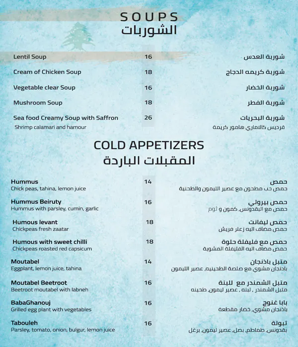 Levant Village Menu in Al Quoz, Dubai 