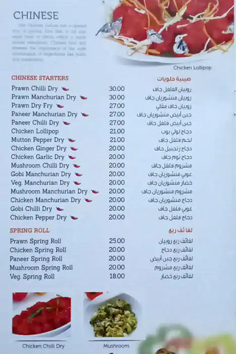 Shahi Mughal Menu in Al Karama, Dubai 