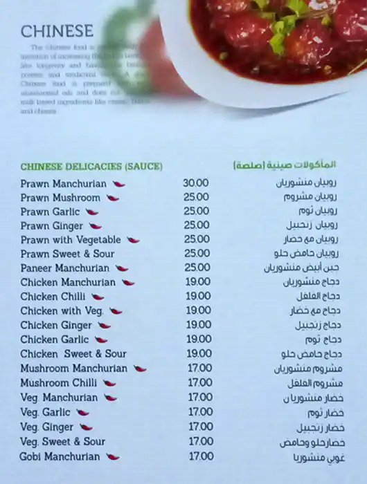 Shahi Mughal Menu in Al Karama, Dubai 