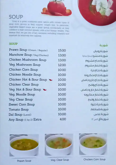 Shahi Mughal Menu in Al Karama, Dubai 